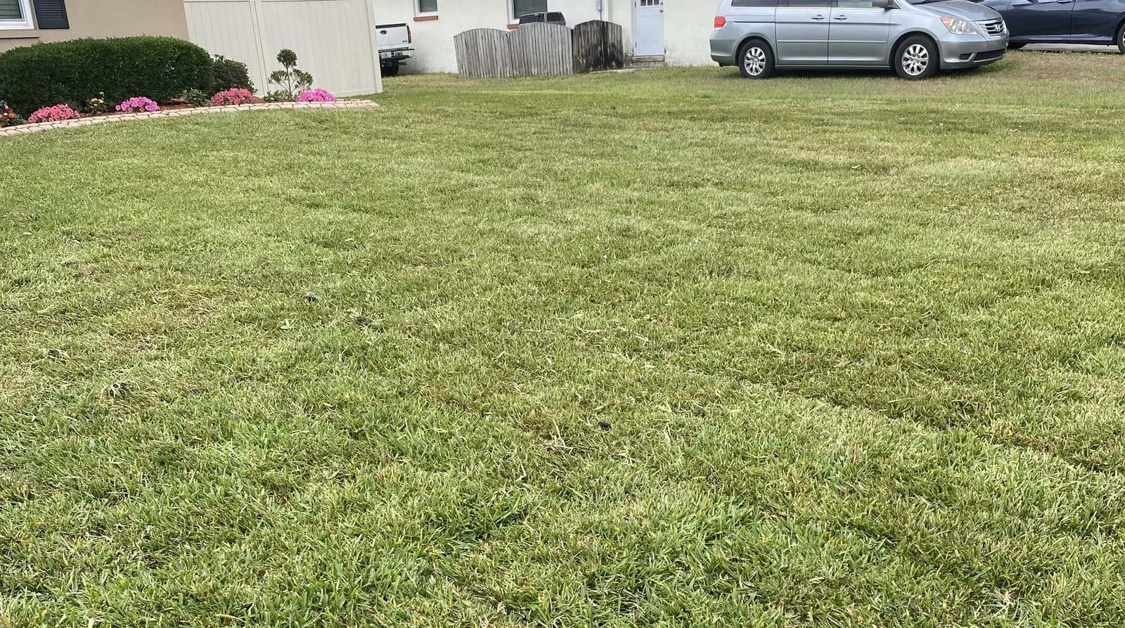 A finished St. Augustine lawn laid edge to edge