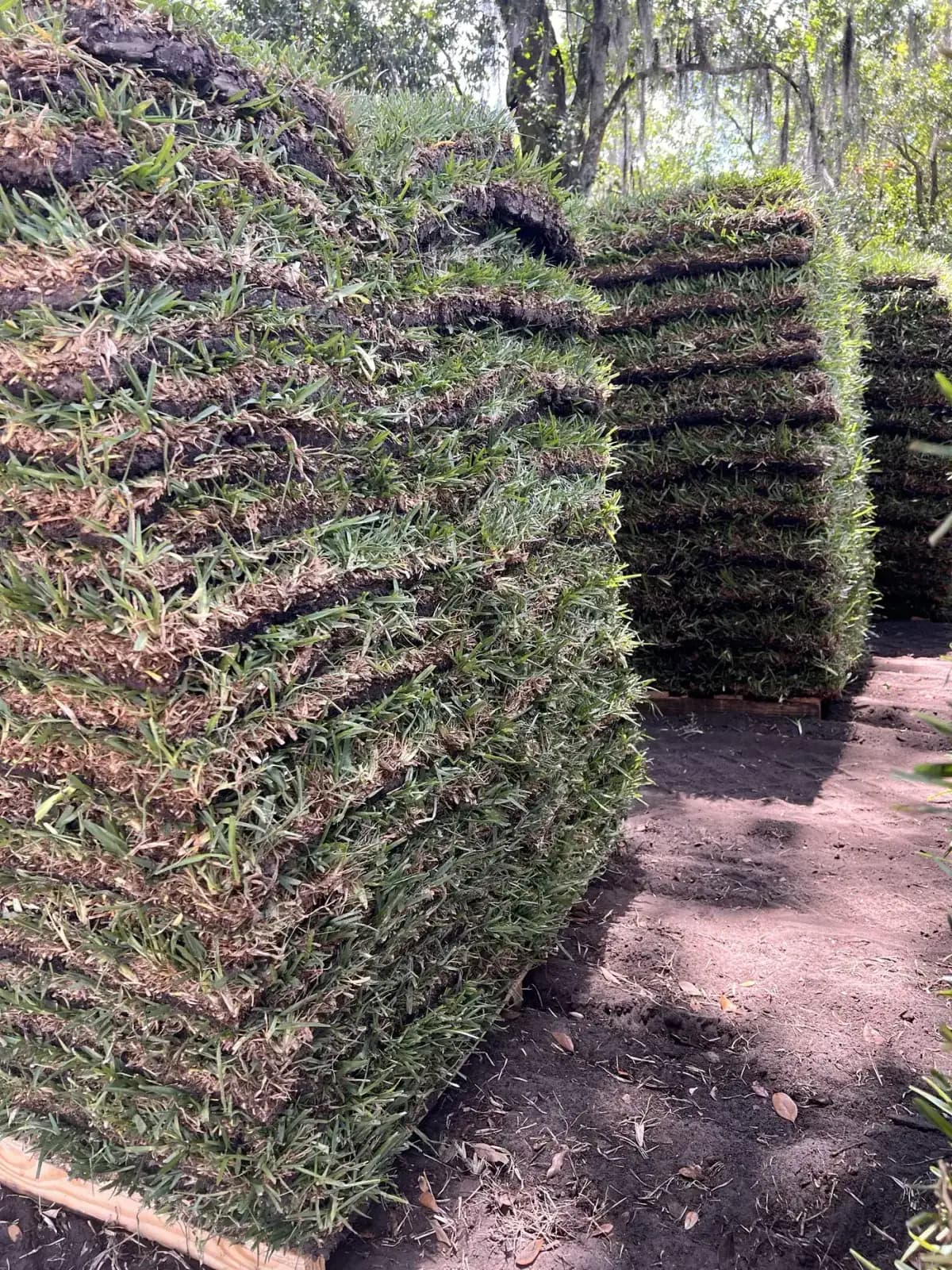 Cut Sod-X sod pieces stacked at the yard
